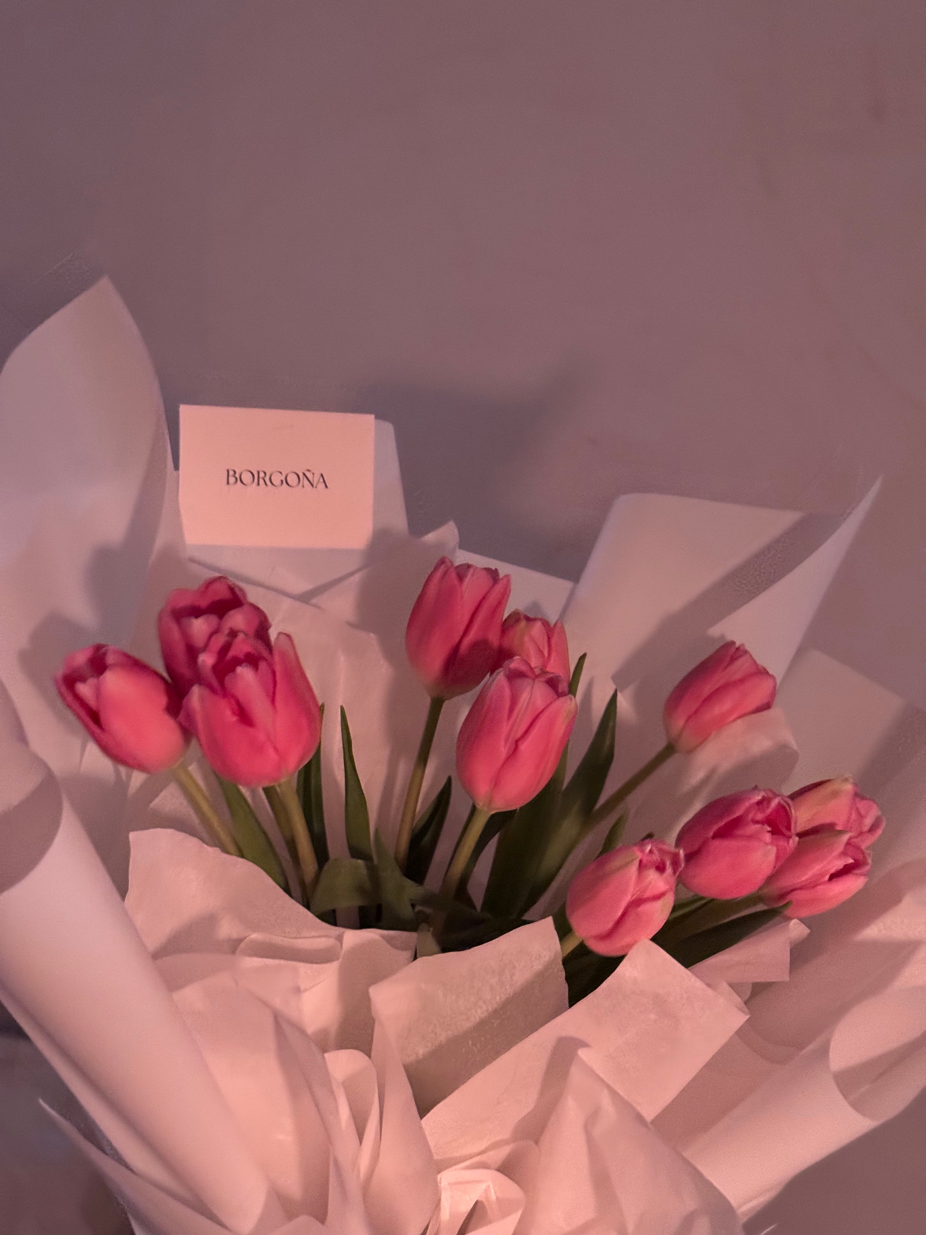 Tulipanes
