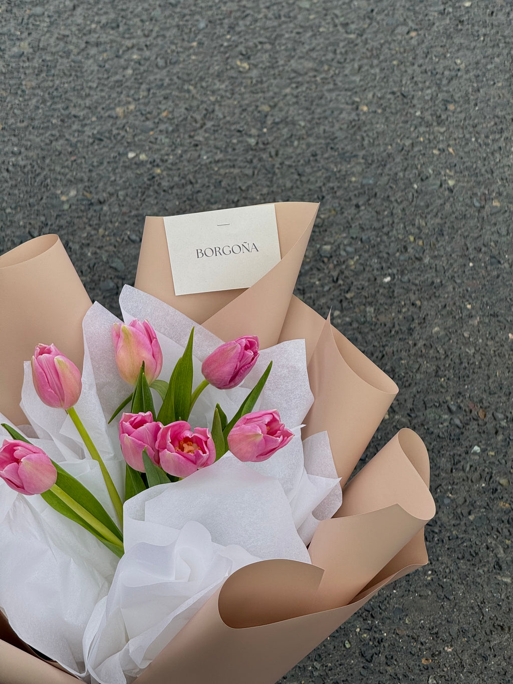 Tulipanes