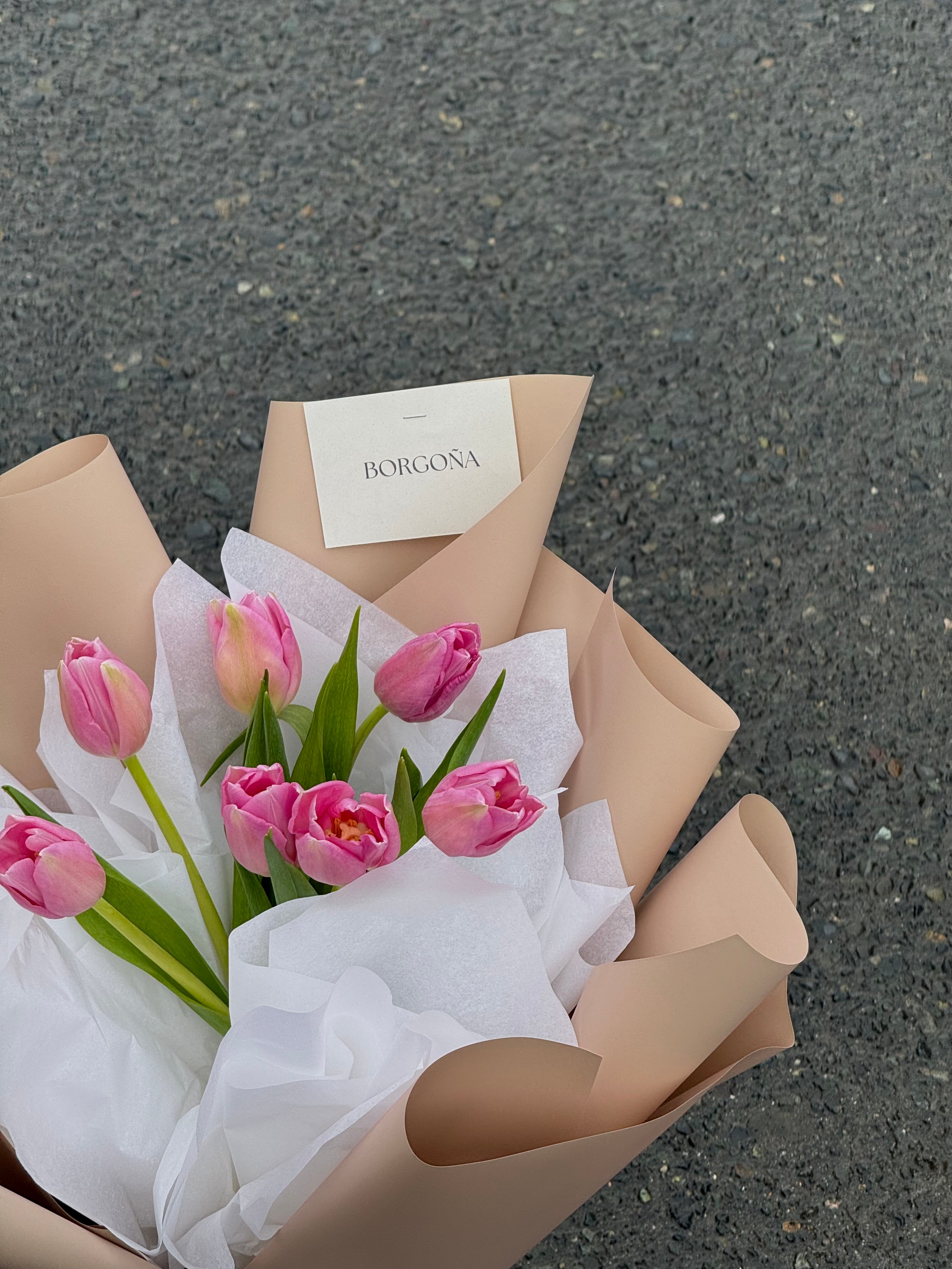 Tulipanes