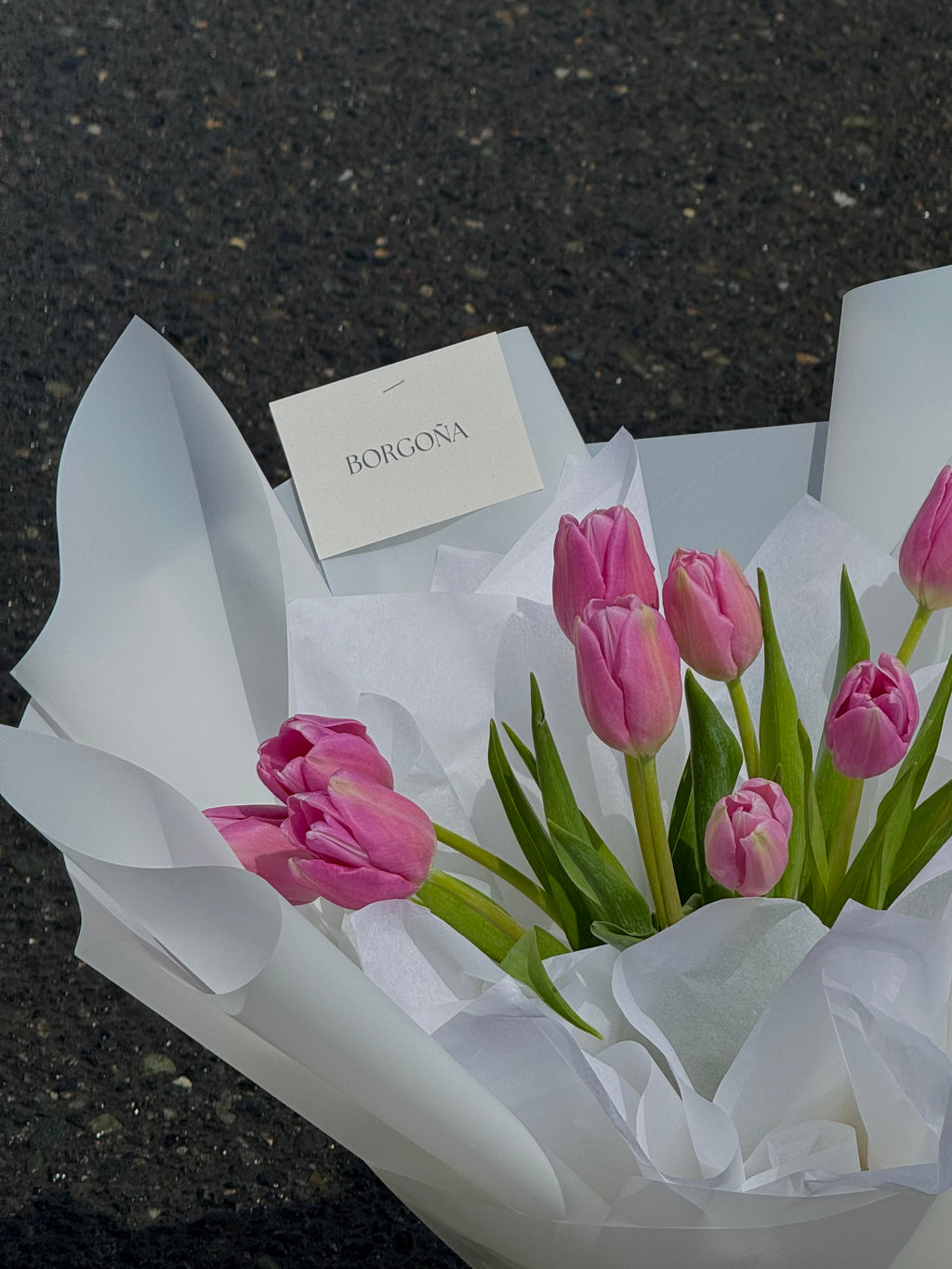 Tulipanes
