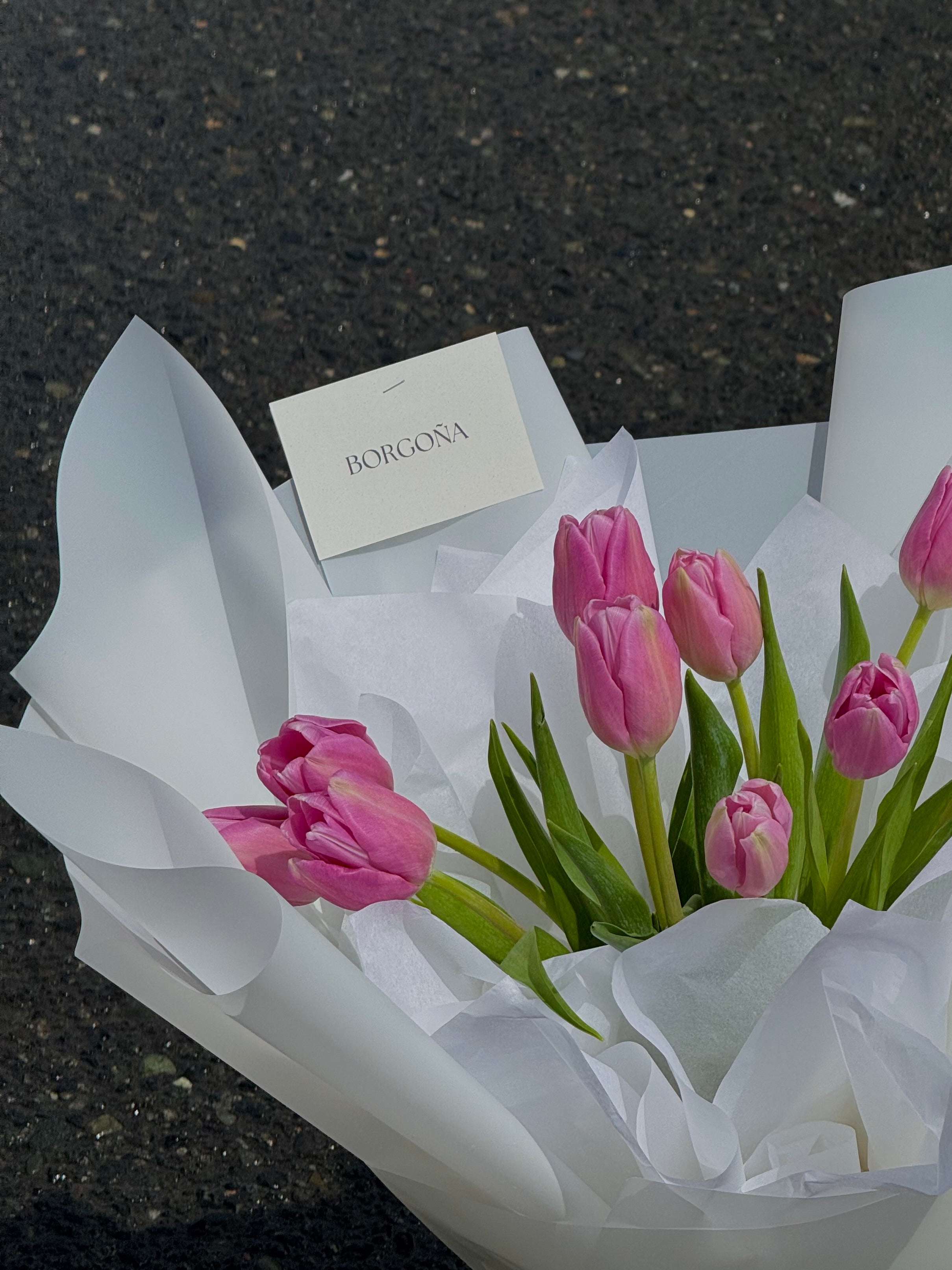 Tulipanes