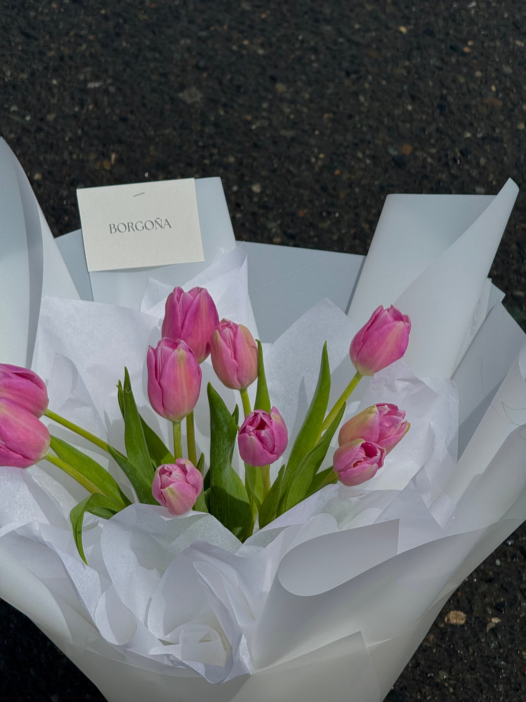 Tulipanes